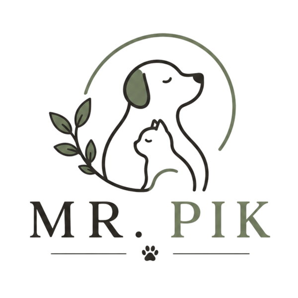 Mr. Pik